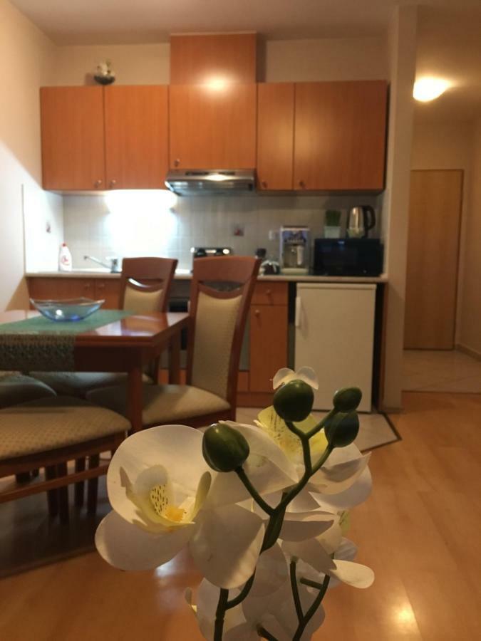 Orchidea Apartman Hegykő Exterior foto