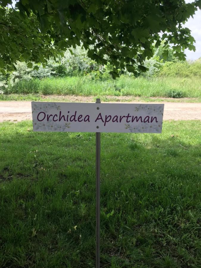 Orchidea Apartman Hegykő Exterior foto